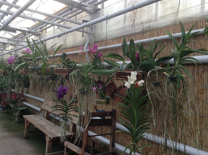 image - Pentru o zi am fost in Paradis