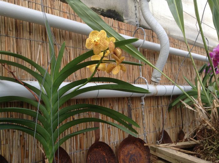 image - Pentru o zi am fost in Paradis