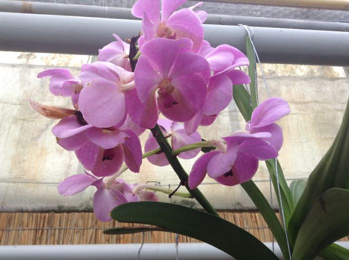 image - Pentru o zi am fost in Paradis