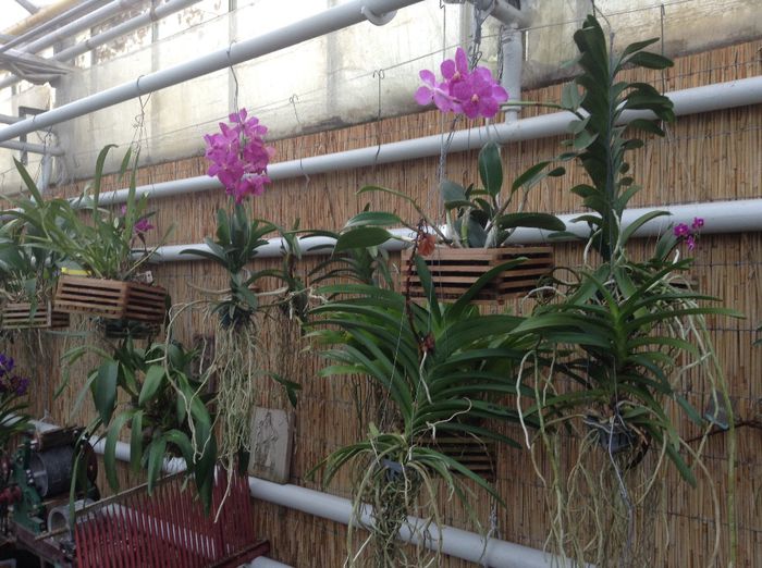 image - Pentru o zi am fost in Paradis