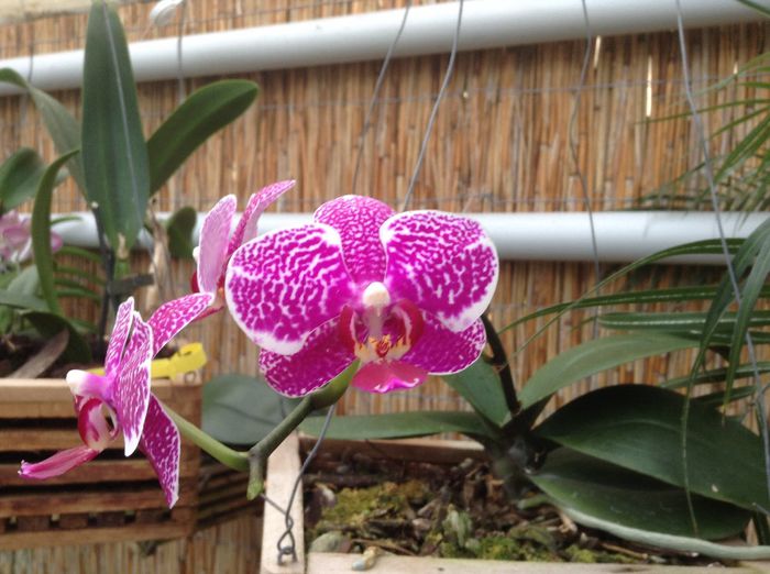 image - Pentru o zi am fost in Paradis