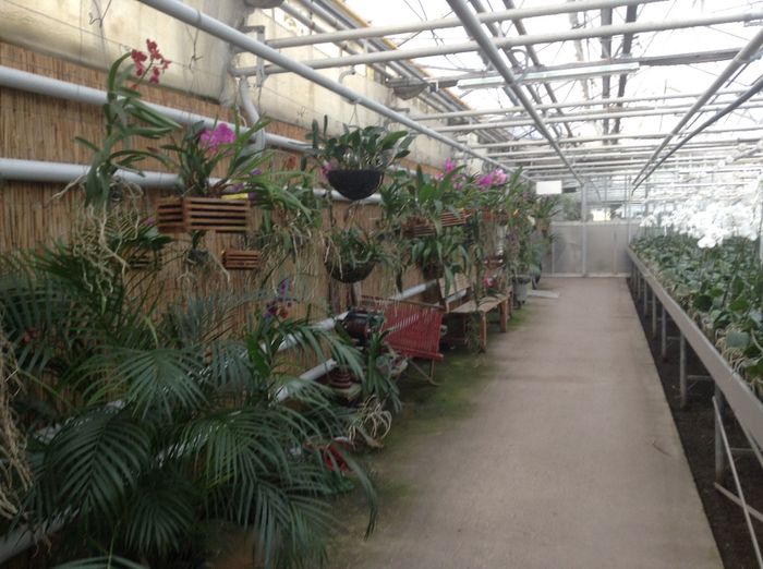 image - Pentru o zi am fost in Paradis