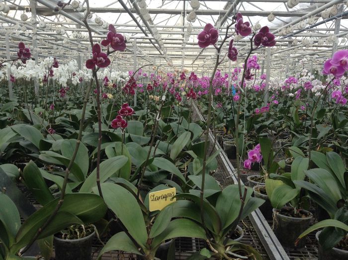 image - Pentru o zi am fost in Paradis