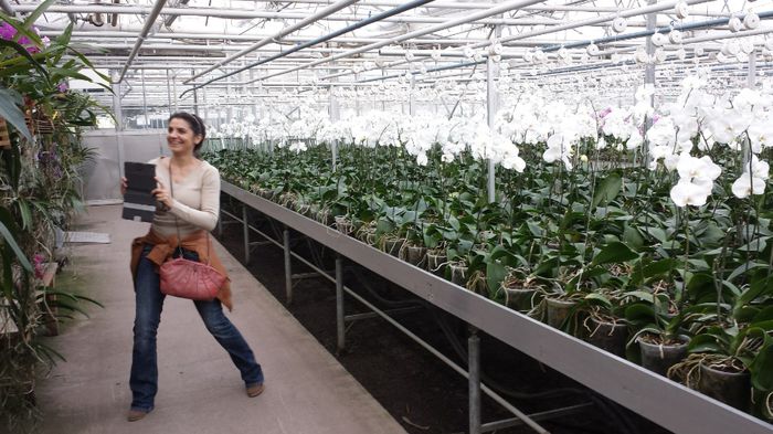 Desi nu o lua nimeni de la locul ei, eu fugeam spre ea, de parca fugeam dupa ea :))