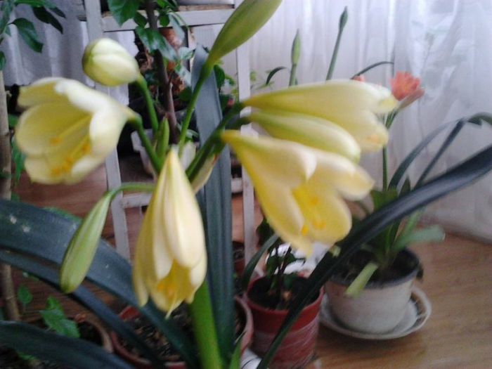 1977293_1450726411829875_1956237501_n