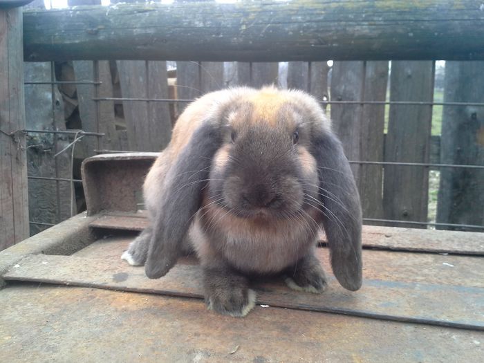 M din 25 noiembrie 2013