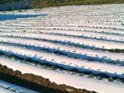 309933_520974594605256_1309877495_n