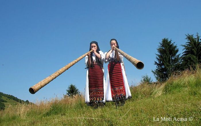 1167430_1404535276437182_541400928_o - COSTUMUL POPULAR ROMANESC DIN DIFERITE ZONE