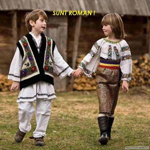 1896960_497429127045410_1089086827_n - PORTUL POPULAR ROMANESC
