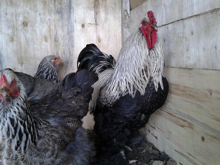 Fotoğraf-0047