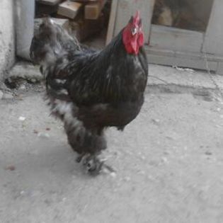 IMG_20130702_203126-1