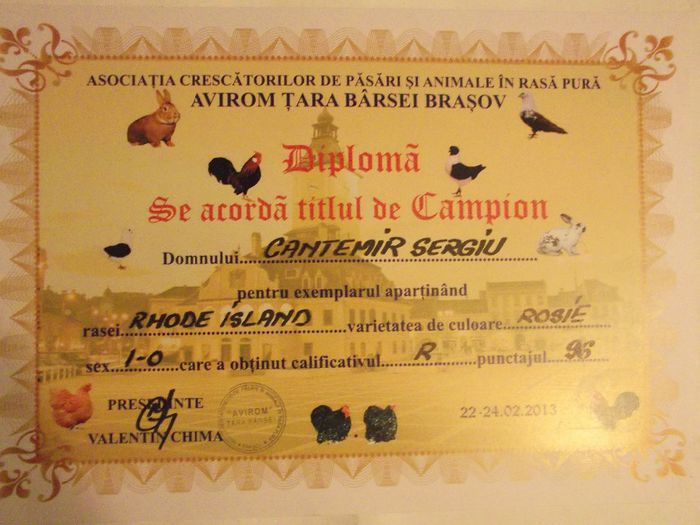 Expo Brasov 2013 - Diplome