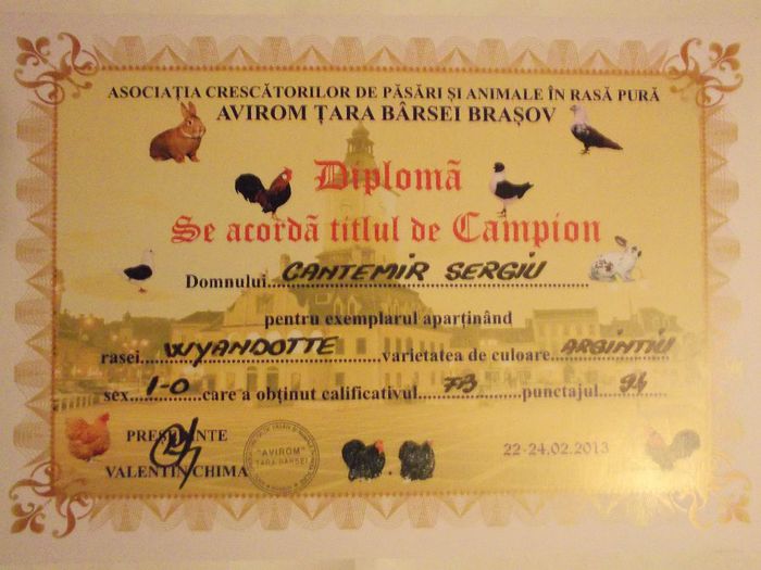 Expo Brasov 2013 - Diplome