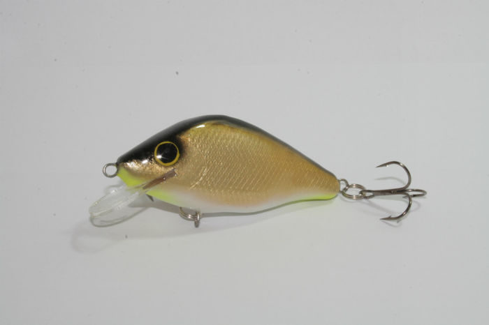 2450 - 7cm, 25g floating - 2 Pentru stiuca