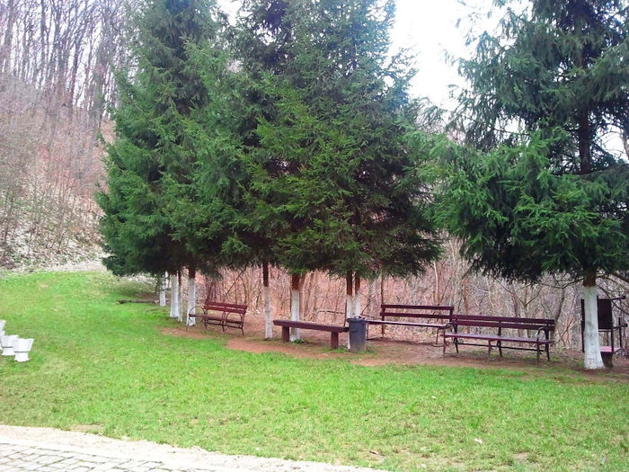 Manastirea Feredeu (sus)