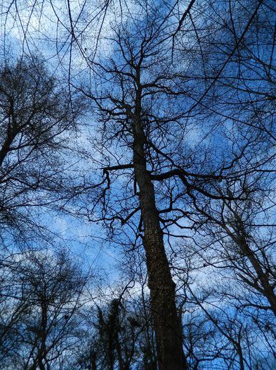 DSCN2848 - 1 MARTIE_1 2014