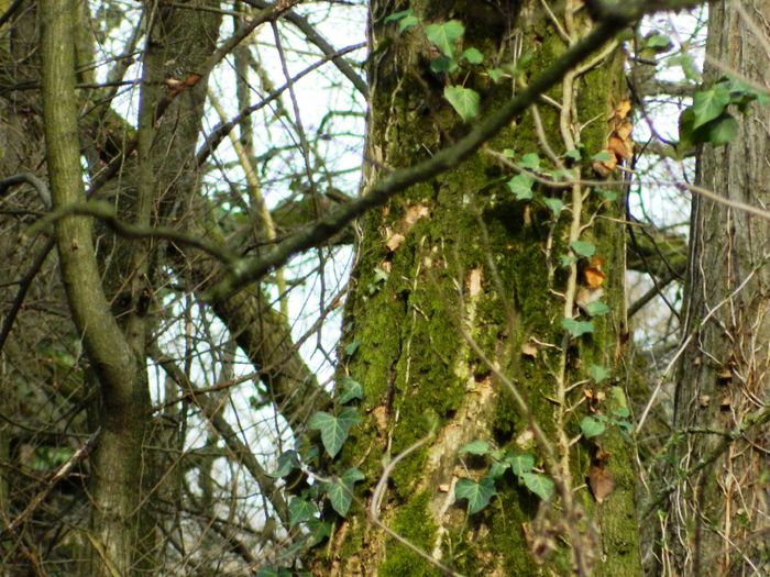 DSCN2849 - 1 MARTIE_1 2014