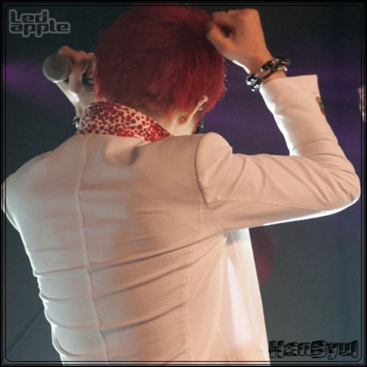 [☻] ..[coboară] ..(:| ..:| ..La mulţi ani! :D - Cadoul e.. e.. undeva. :d [scrie un sms] -_- - ix __ Episodul 053 __ xi