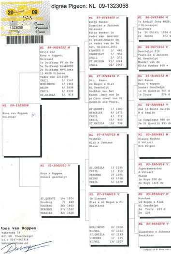 1323058-09-NL pedigree