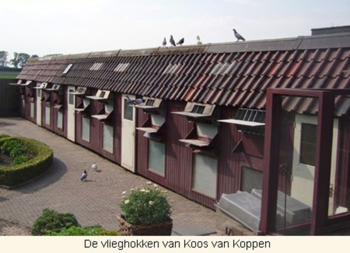 koos van koppen loft