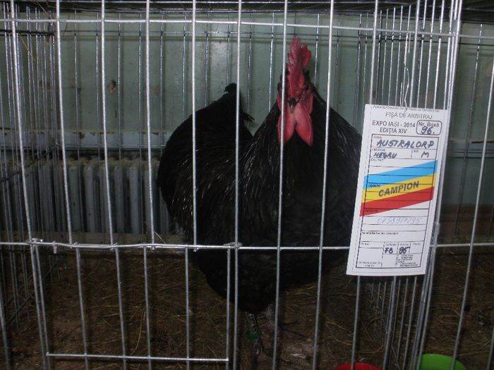 P3021117
