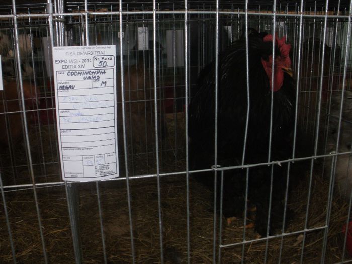 P3021122