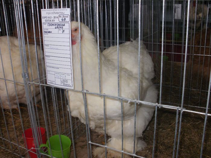 P3021124
