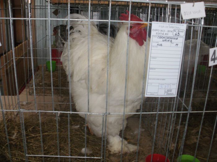 P3021127