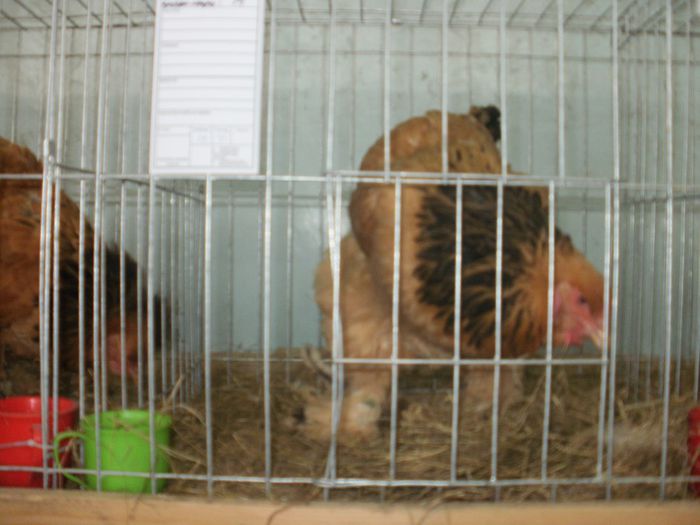 P3021144