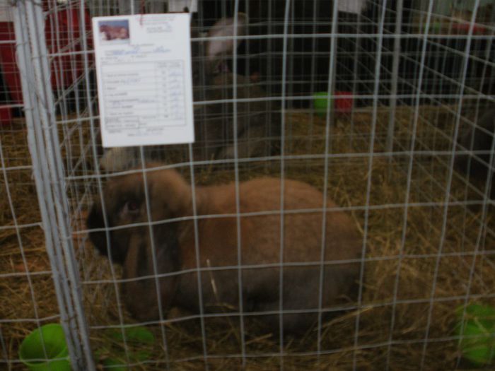 P3021166