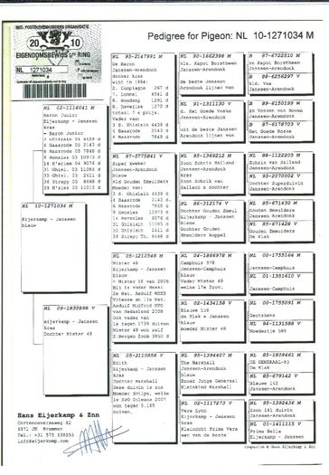 NL 10-1271034 PEDIGREE TATA