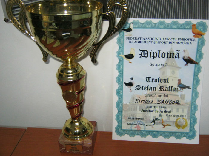 Brasov 2012 - trofee obtinute de porumbei mei-dijaim