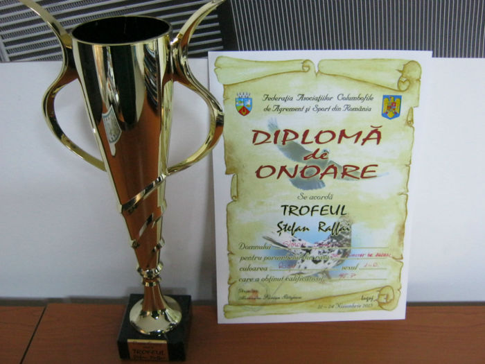 Lugoj 2013 - trofee obtinute de porumbei mei-dijaim