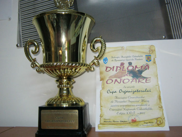 Nationala Tg Mures 2012 - trofee obtinute de porumbei mei-dijaim