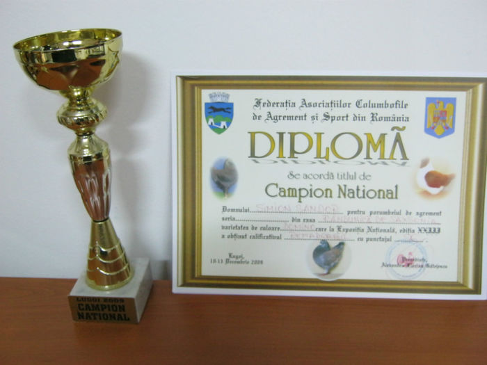 Lugoj 2009 - trofee obtinute de porumbei mei-dijaim