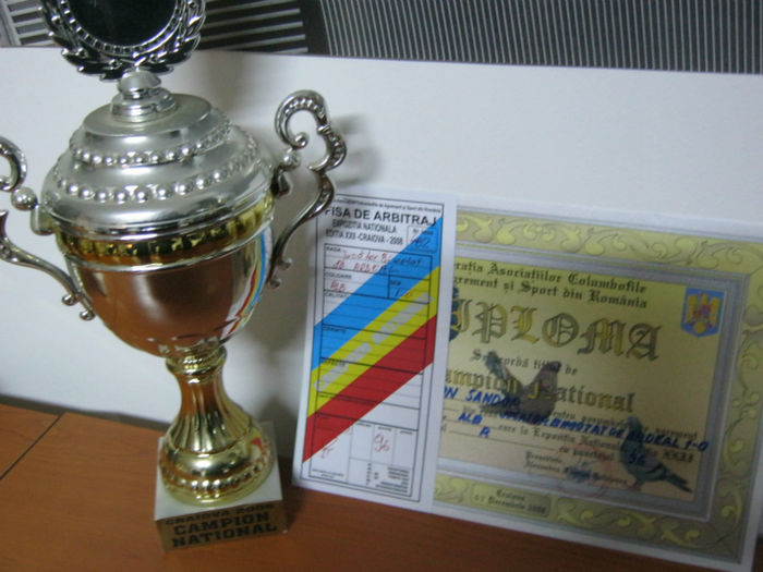 Craiova 2008