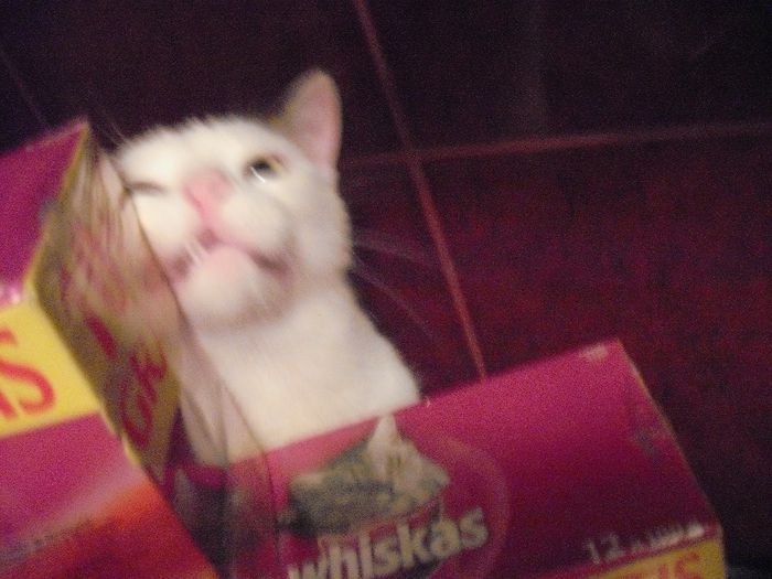 DSCF1844