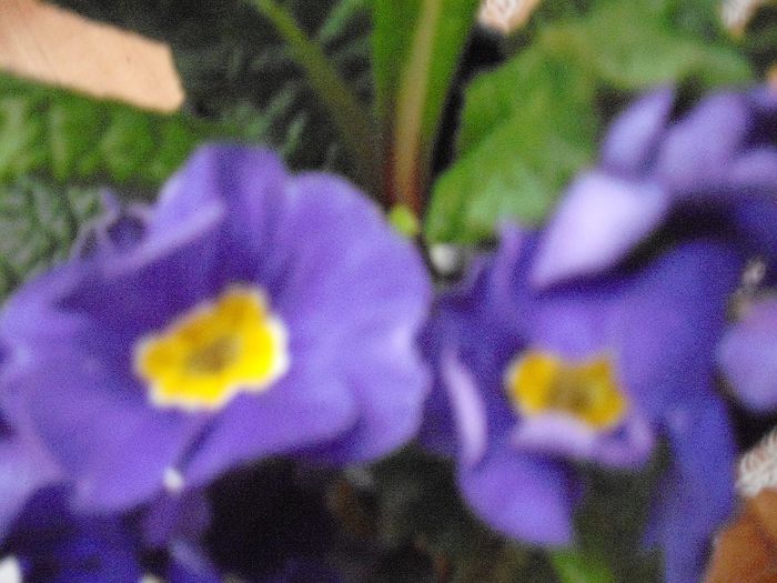 DSCF1882