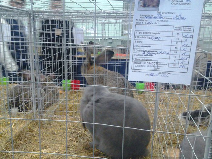 20140302_094322 - iasi 2014