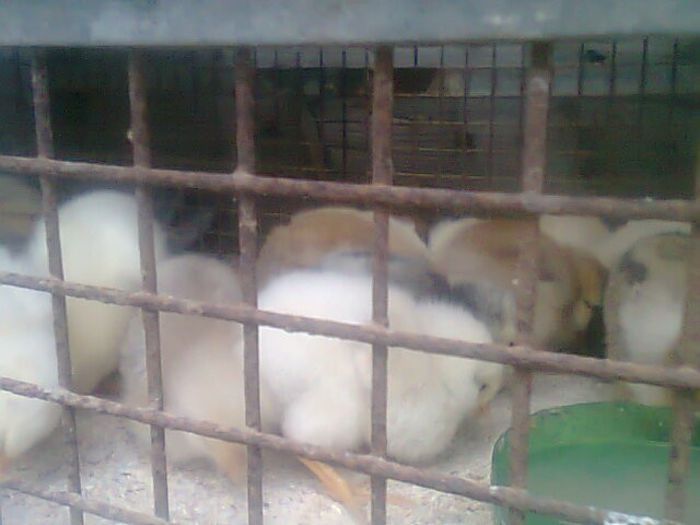 92871157_QGTKBJP