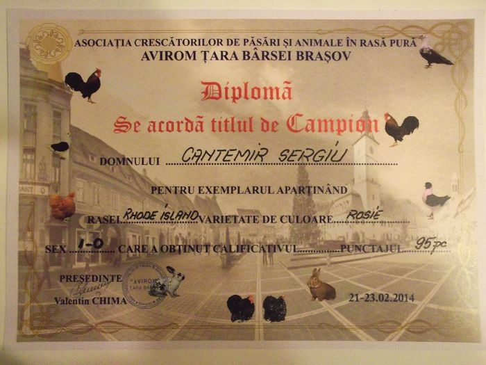 Expo Brasov 2014 - Diplome