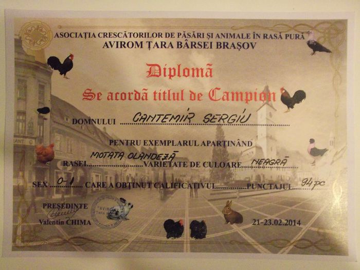 Expo Brasov 2014 - Diplome