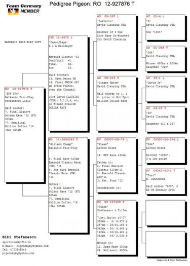 balkanic-fair-play-ro12-927876-f-semisora-7-finala-algarve-golden-race-2012-db-ian14-01-05-1