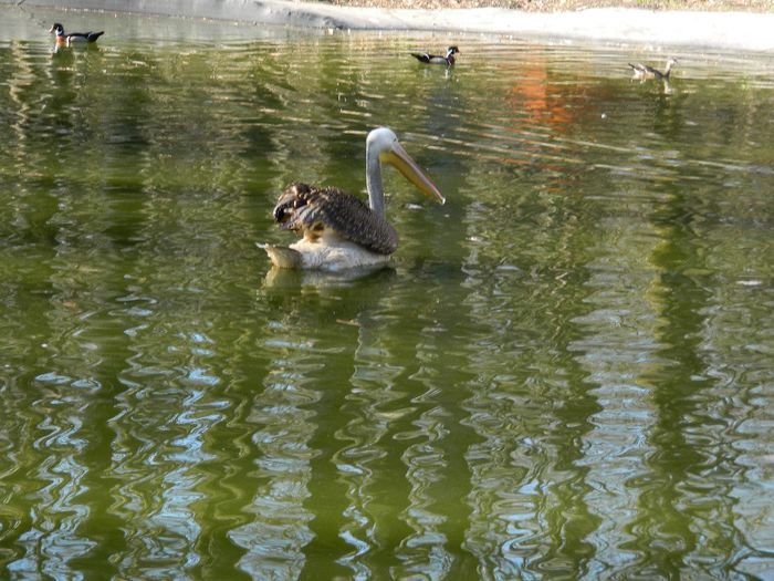 DSCN3009 - 1 MARTIE_2 2014