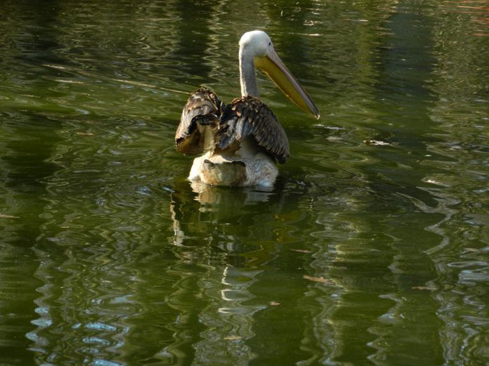 DSCN3010 - 1 MARTIE_2 2014