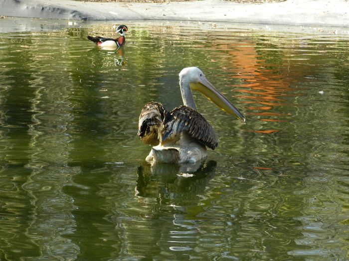 DSCN3011 - 1 MARTIE_2 2014