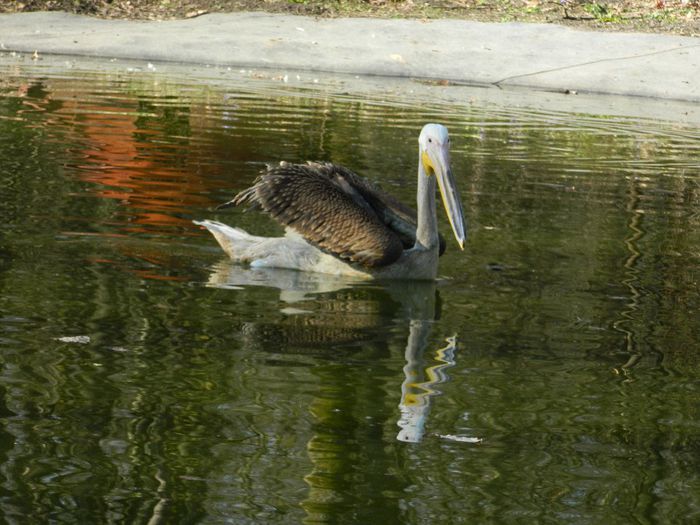 DSCN3012 - 1 MARTIE_2 2014