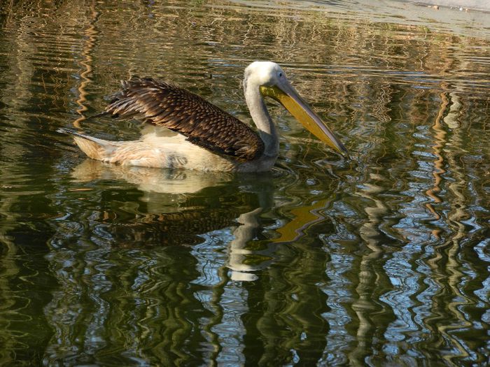 DSCN3013 - 1 MARTIE_2 2014