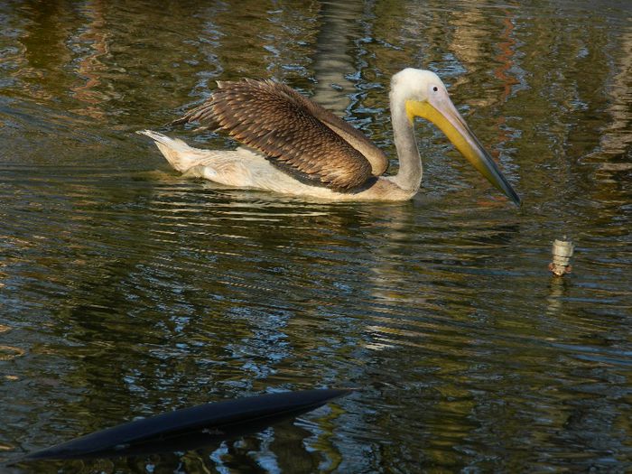 DSCN3016 - 1 MARTIE_2 2014