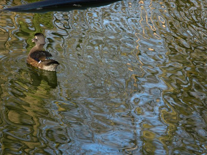 DSCN3018 - 1 MARTIE_2 2014